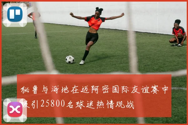 秘鲁与海地在迈阿密国际友谊赛中吸引25800名球迷热情观战